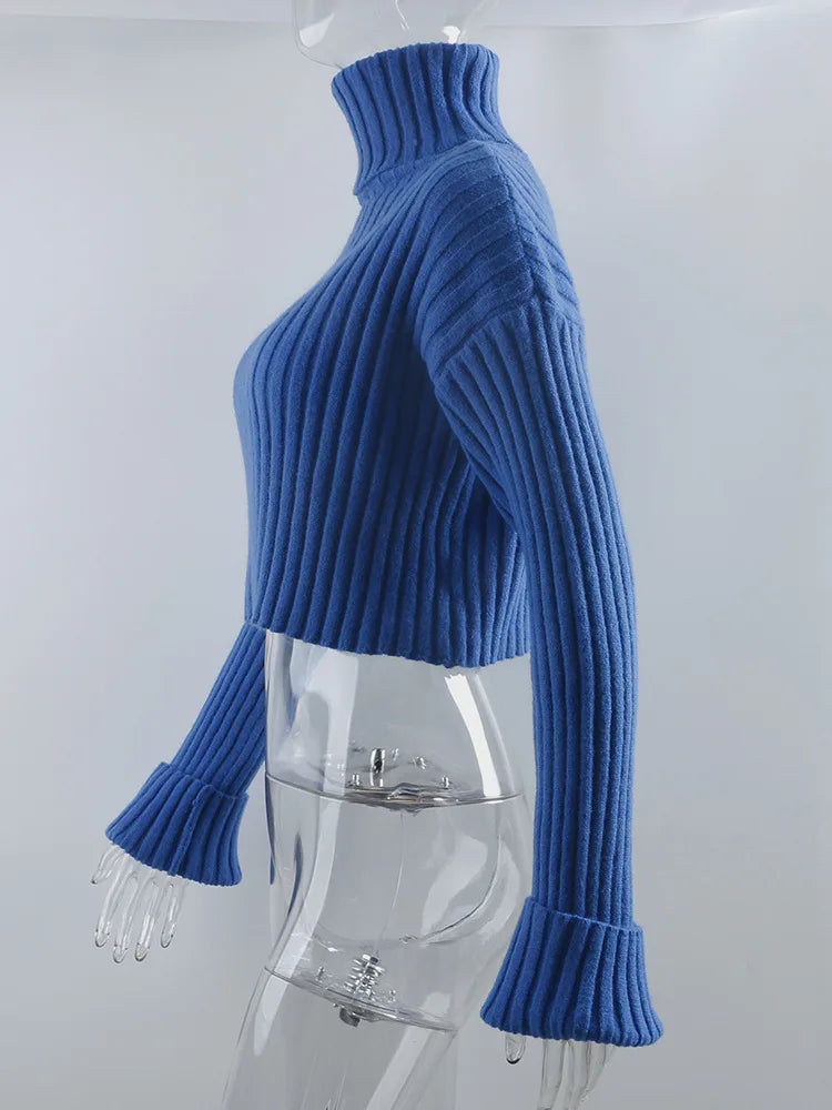 Cozy Blue Turtleneck Crop Sweater Loose Jumper Sweaters | Chuzko.com