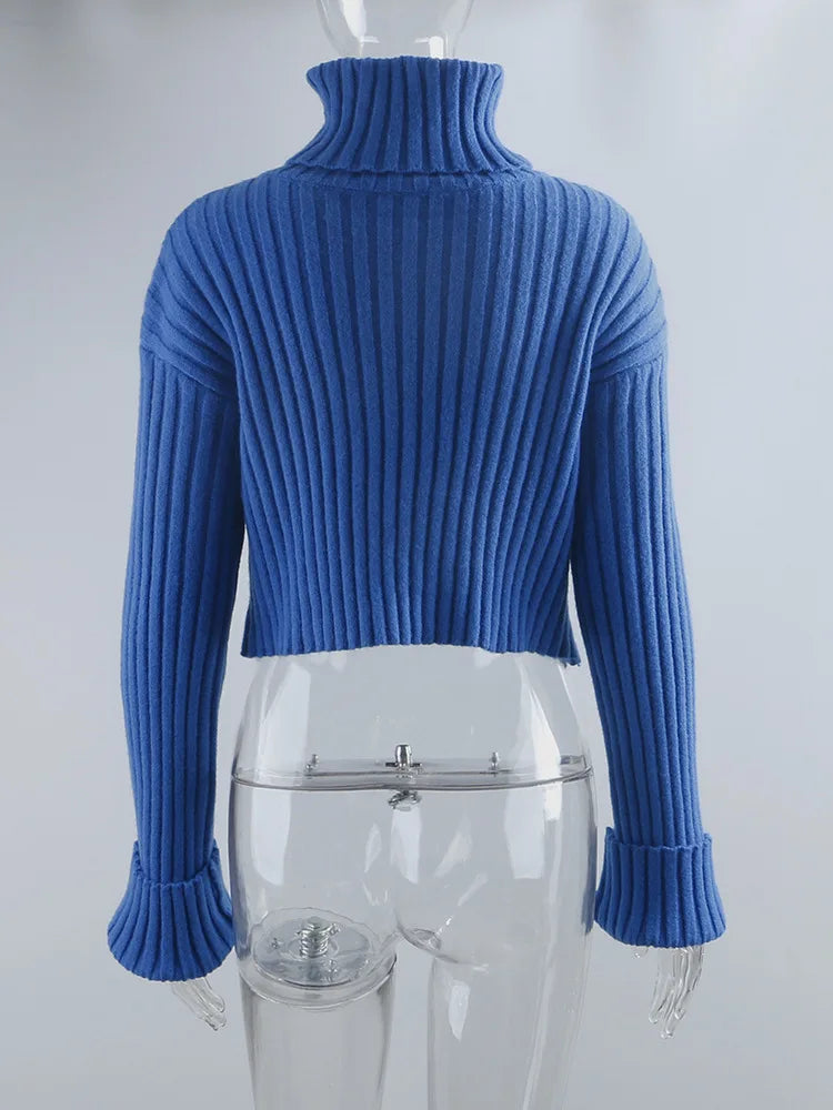 Cozy Blue Turtleneck Crop Sweater Loose Jumper Sweaters | Chuzko.com