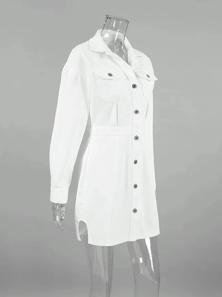 Tailored White Cotton Shirt Dress for Women Shirt Dresses | Chuzko.com