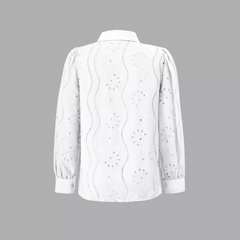 Embroidered Puff Sleeve Shirt Long Sleeve Blouse Shirts | Chuzko.com