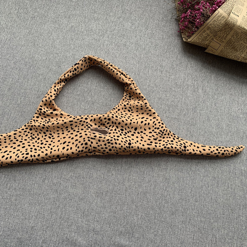 Women's Animal Print Swimwear V-Neck Bra & Bikini Swimwear