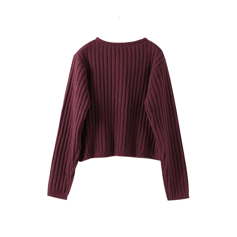 Crop Sweater with V-Neck Design | Knit Sweaters